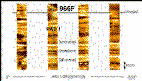 FMS Image from Hole 966F